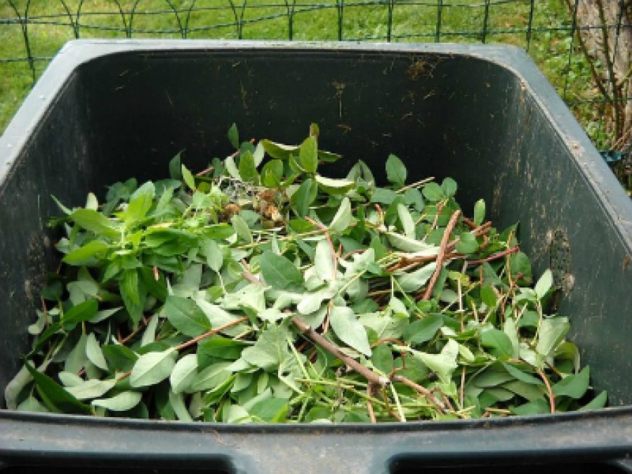 Why You Should Hire The Services of a Green Waste Recycling Company