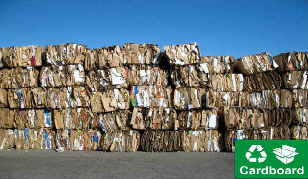 5 Reasons You Should Opt for Cardboard Recycling