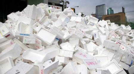 5 Things to Consider While Getting Polystyrene Recycling Bins